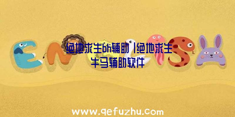 「绝地求生bh辅助」|绝地求生牛马辅助软件
